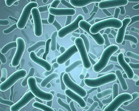 antimicrobial coating